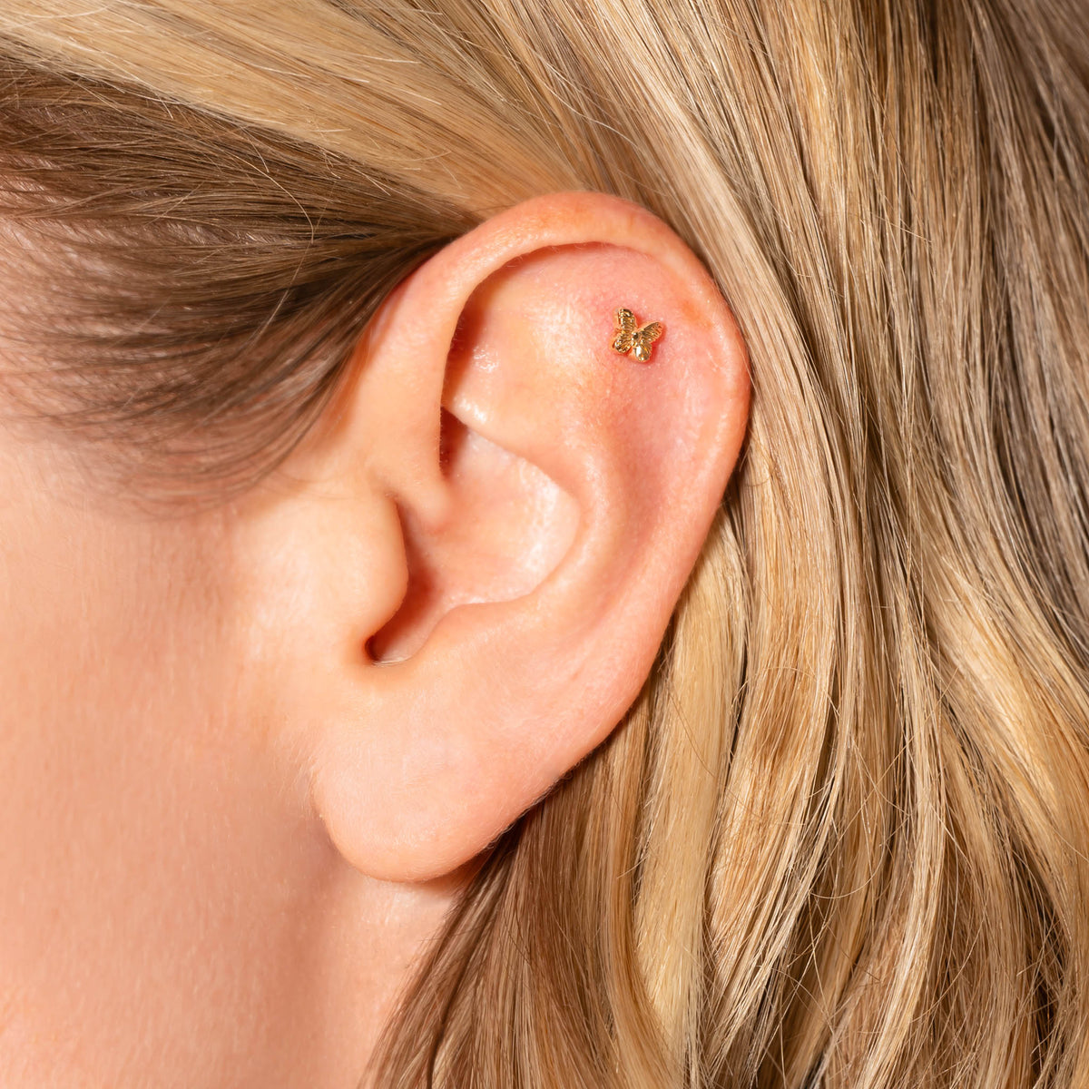 Piercing d’oreille Scarlett doré en plaqué or 18 carats en forme de petit papillon aux ailes finement dessinées